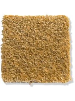 Velours-Teppichboden, Safran 54 -Teppichwelt Verkauf Atlantis Veloursteppichboden gelb safran54 lup