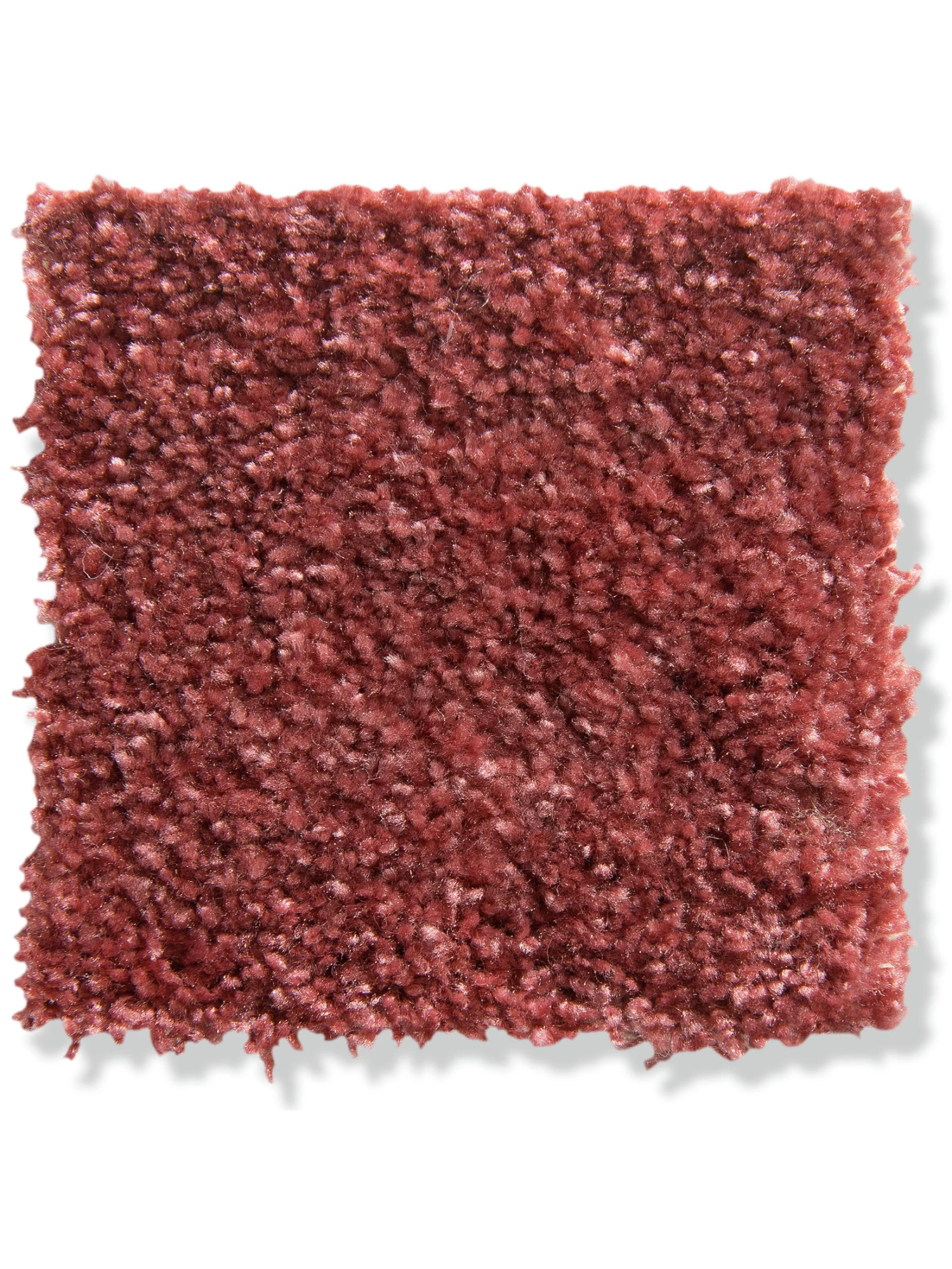 Velours-Teppichboden, Koralle 14 4 Velours-Teppichboden, Koralle 14 – Bild 2