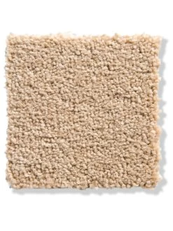 Velours-Teppichboden, Ivory 72 -Teppichwelt Verkauf Balance Veloursteppichboden Beige Ivory72 lup