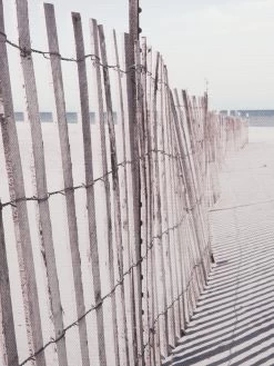 Leinwand Druck, Grau -Teppichwelt Verkauf Beach Druck Grau 50x55 lup2