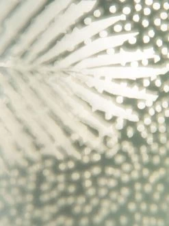 Teelichthalter, Hellgrün -Teppichwelt Verkauf BlaetterLightUp Teelichthalter Hellgruen 12x12x18 lup2