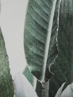 Leinwand-Druck-gerahmt, Grün -Teppichwelt Verkauf Botanik Druckgerahmt Gruen 50x70 lup