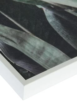 Leinwand-Druck-gerahmt, Grün -Teppichwelt Verkauf Botanik Druckgerahmt Gruen 50x70 lup2