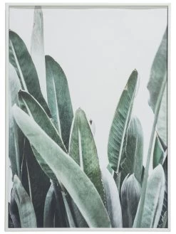 Leinwand-Druck-gerahmt, Grün -Teppichwelt Verkauf Botanik Druckgerahmt Gruen 50x70 pla