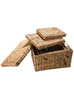 Box, Natur -Teppichwelt Verkauf BoxTrunk Box Hellbraun Natur set2