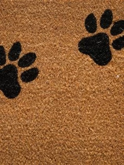 Fußmatte, Dog Steps -Teppichwelt Verkauf Cochin Fussmatte Braun DogSteps 45x75 lup