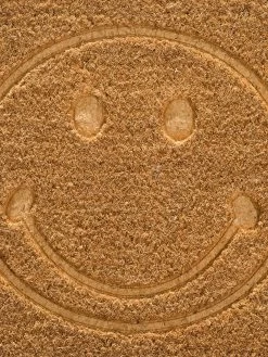 Fußmatte, Beige -Teppichwelt Verkauf Coco Fussmatte Braun Beige 40x70 lup