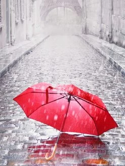 Rollo, Paris -Teppichwelt Verkauf DigitalRollo Rollo rot Paris lup