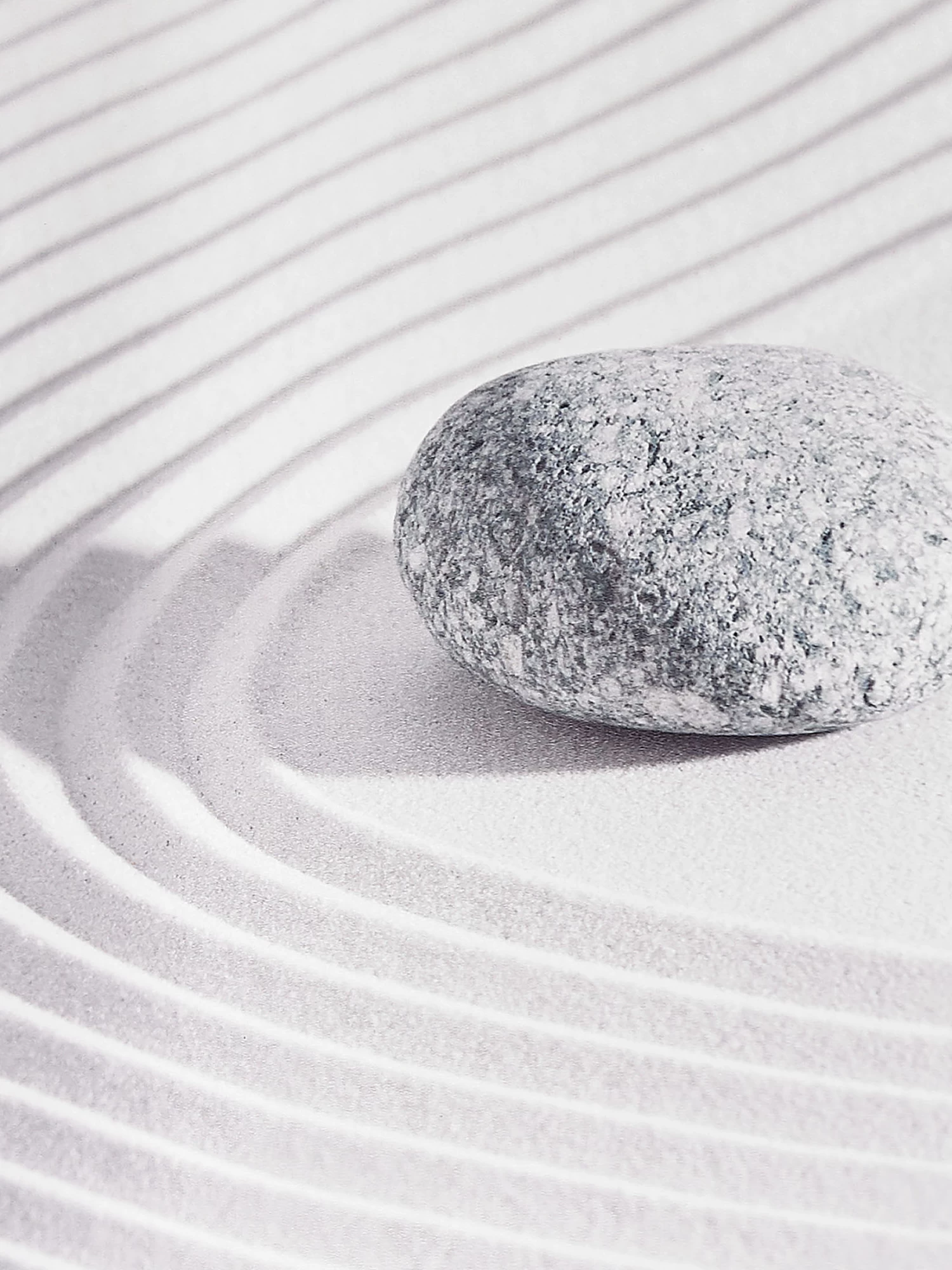 Rollo, Zen Garden 4 Rollo, Zen Garden – Bild 2