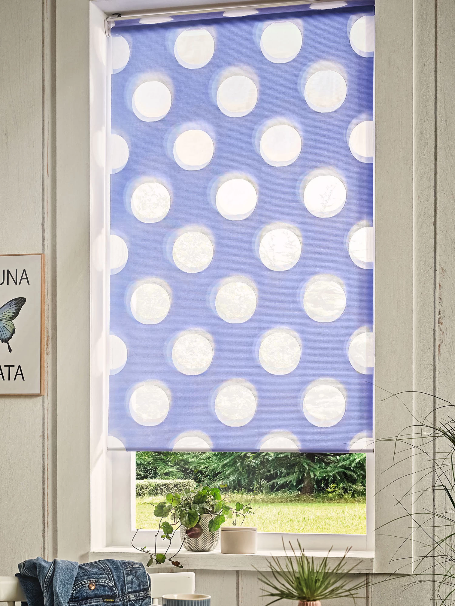 Rollo, Himmelblau 3 Rollo, Himmelblau