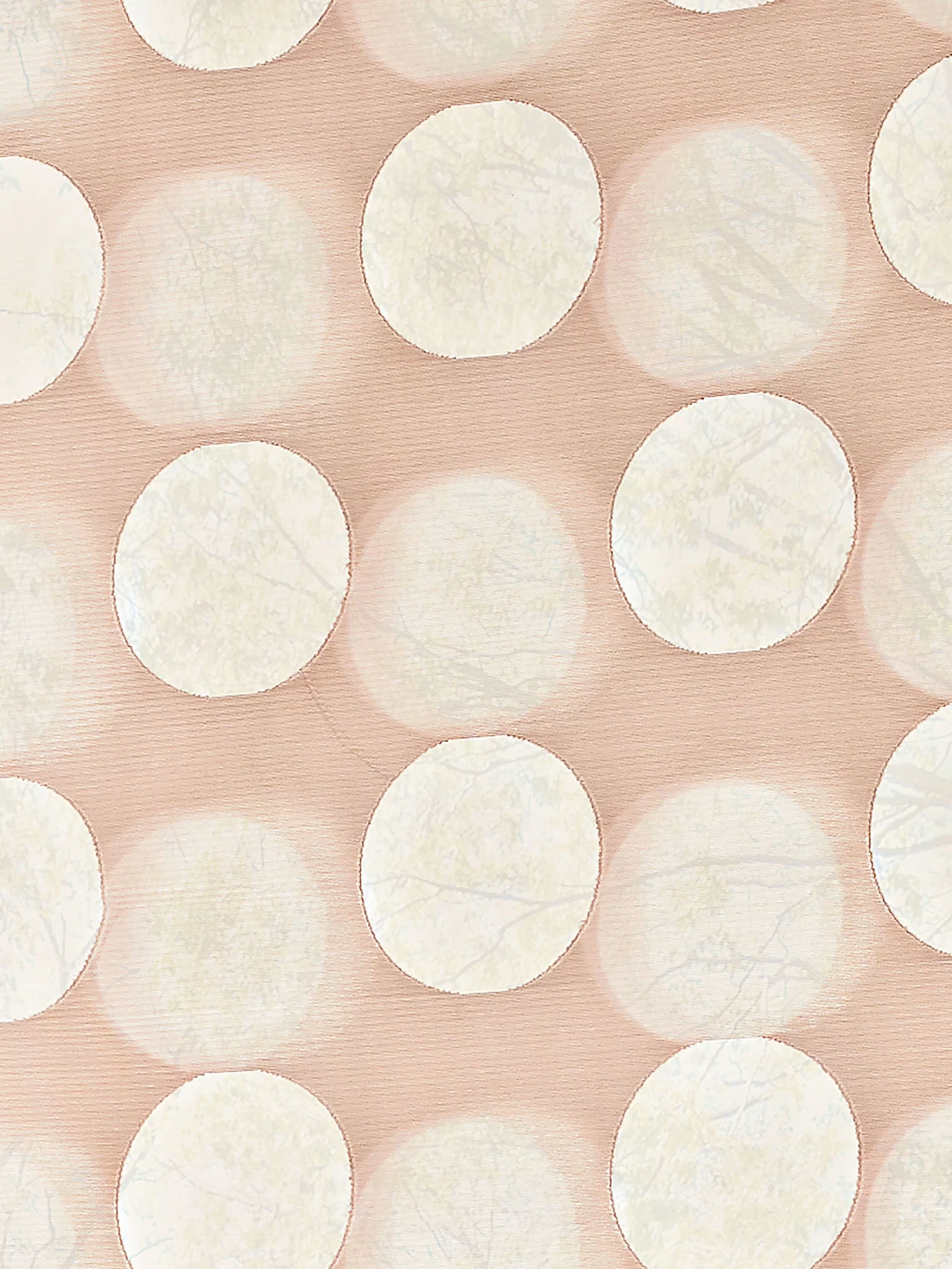 Rollo, Rosé 4 Rollo, Rosé – Bild 2