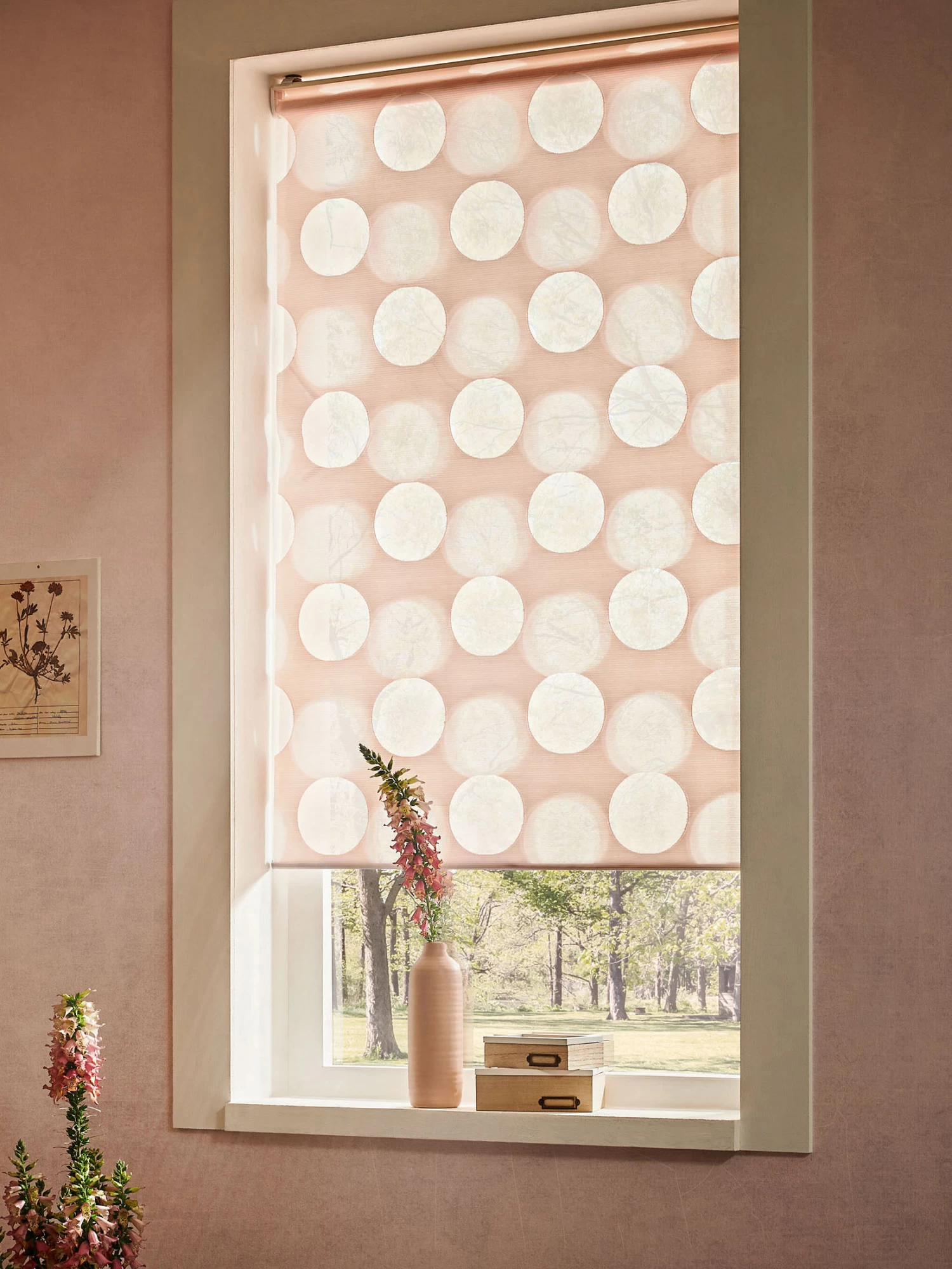 Rollo, Rosé 3 Rollo, Rosé