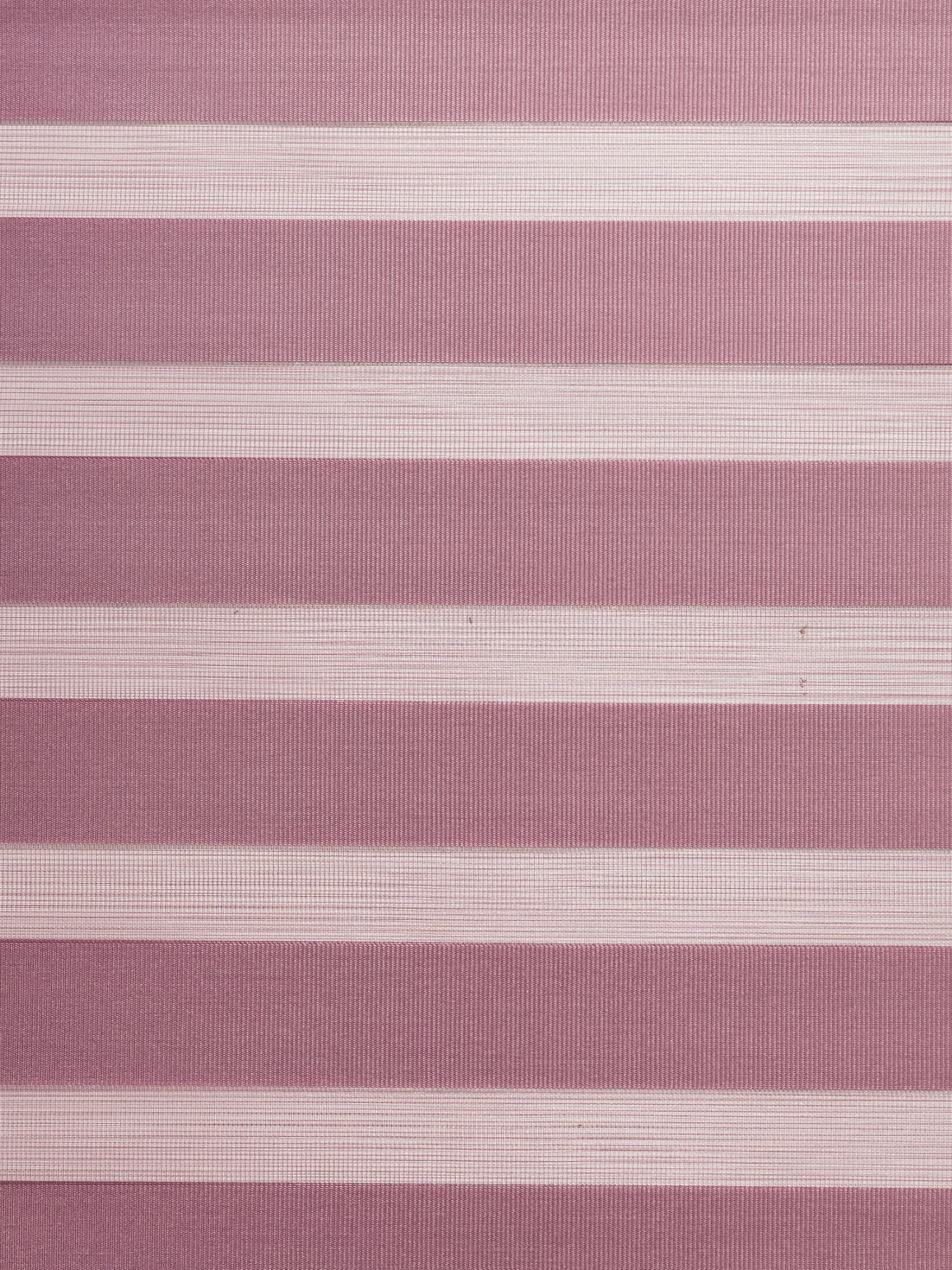 Rollo, Beere 5 Rollo, Beere – Bild 3