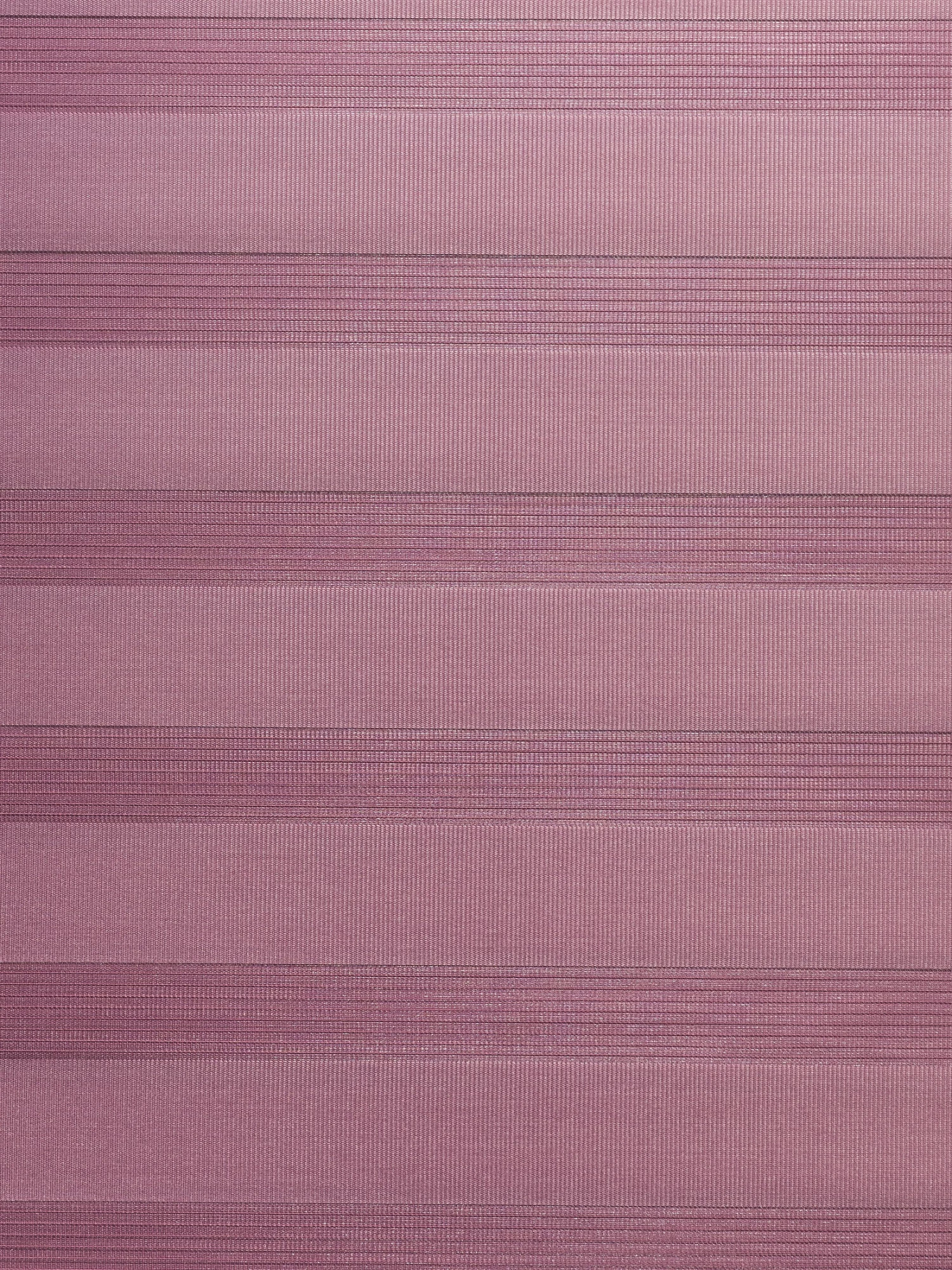 Rollo, Beere 6 Rollo, Beere – Bild 4