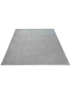 Hochflor-Teppich, Light Grey -Teppichwelt Verkauf Fiesta HochflorTeppich Hellgrau LightGrey 160x230 fper