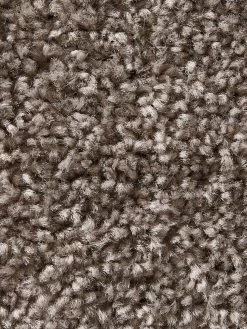 Uni-Teppich, Taupe -Teppichwelt Verkauf Hardy Hochflorteppich Braun Taupe 160x230 lup