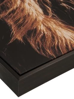 Leinwandbild, Braun -Teppichwelt Verkauf Highlandrind Leinwandbild Braun 83x103 lup2