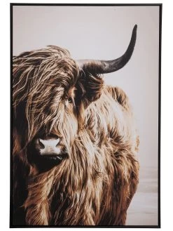 Leinwandbild, Braun -Teppichwelt Verkauf Highlandrind Leinwandbild Braun 83x103 pla