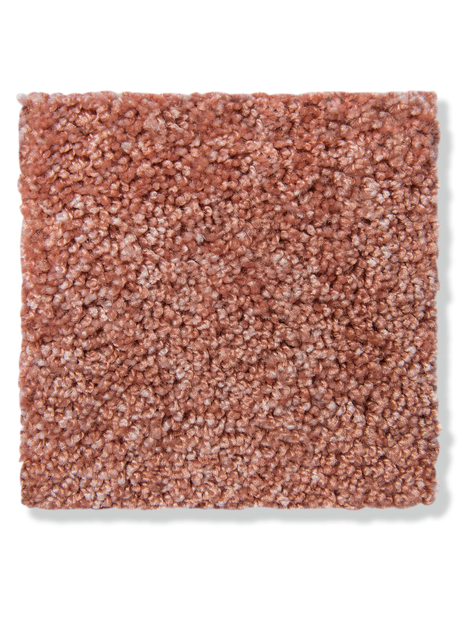 Velours-Teppichboden, Terra 56 4 Velours-Teppichboden, Terra 56 – Bild 2