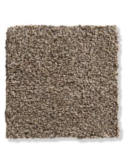 Velours-Teppichboden, Latte Macchiato 92 5 Velours-Teppichboden, Latte Macchiato 92 -Teppichwelt Verkauf Kensington Veloursteppichboden braun lattemacchiato92 lup