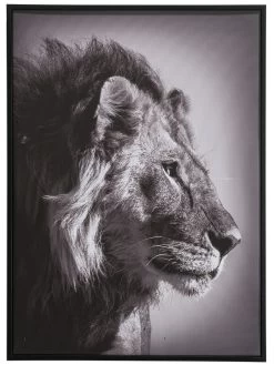 Teppichwelt Verkauf -Teppichwelt Verkauf Lionhead Druckgerahmt Grau Dunkelgrau 50x70 pla
