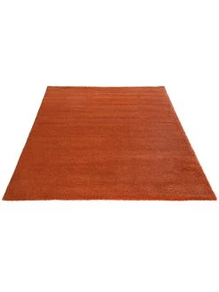Hochflor-Teppich, Terra -Teppichwelt Verkauf Marten Hochflorteppich Terracotta Terra 160x230 fper