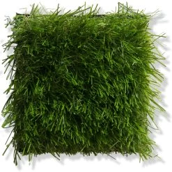 Rasen-Teppichboden, Light Green 7 Rasen-Teppichboden, Light Green -Teppichwelt Verkauf NaturaleGreen Kunstrasen Gruen LightGreen 10x10 lup