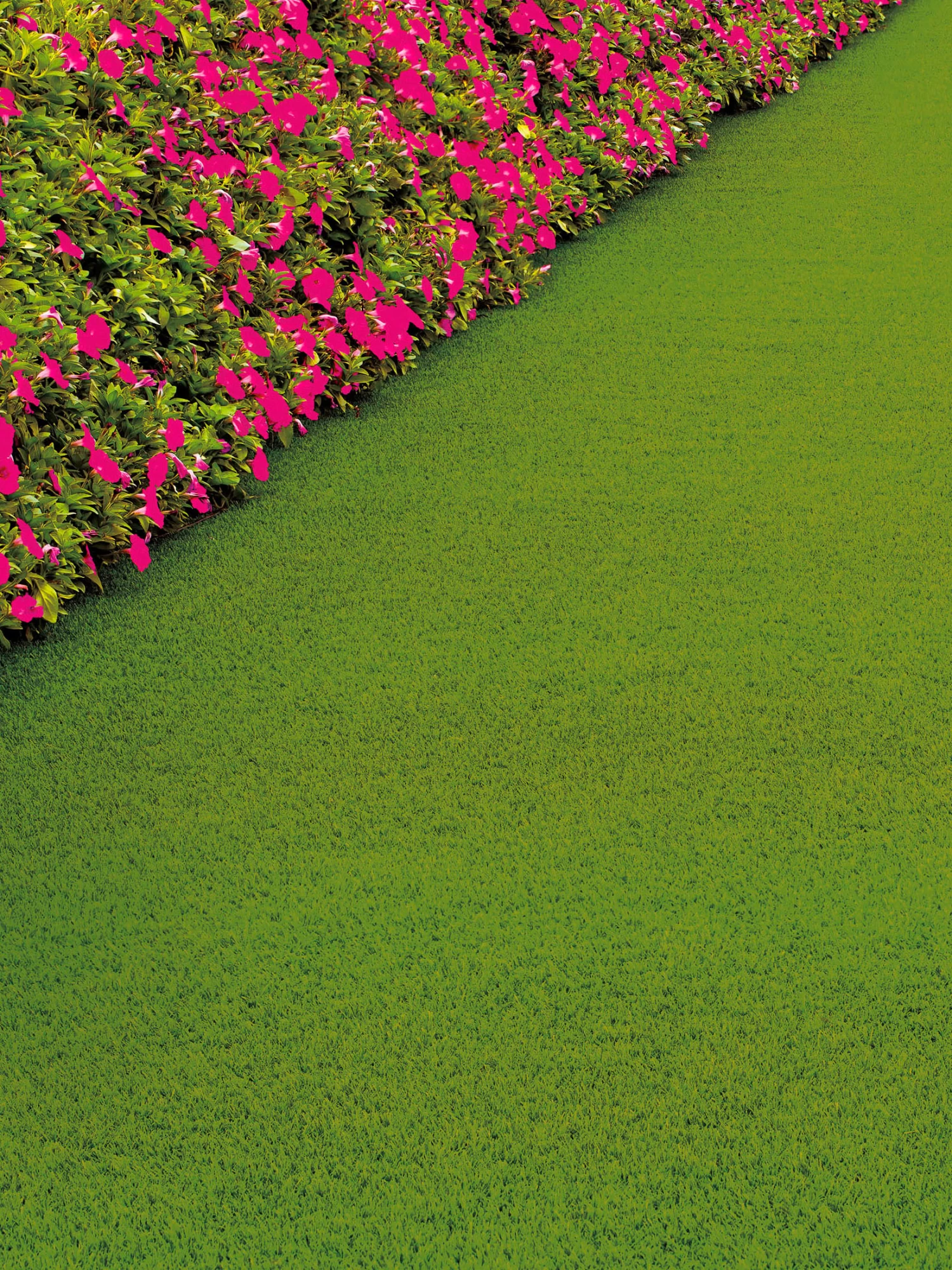 Rasen-Teppichboden, Light Green 3 Rasen-Teppichboden, Light Green