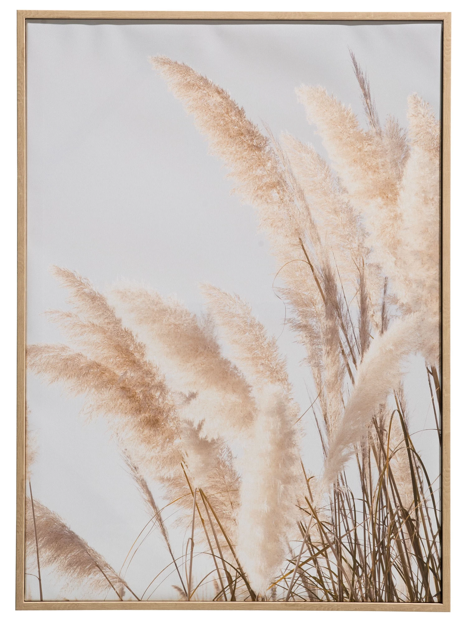 Leinwand-Druck-gerahmt, Weiss 5 Leinwand-Druck-gerahmt, Weiss – Bild 3