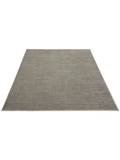 Moderner Teppich, Taupe -Teppichwelt Verkauf Pardo DesignerTeppich Beige Taupe 160x230 fper