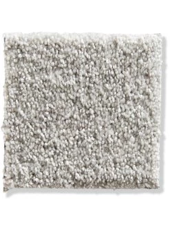 Velours-Teppichboden, Silber -Teppichwelt Verkauf Praia VeloursTeppichboden Hellgrau Silber71 10x10 lup