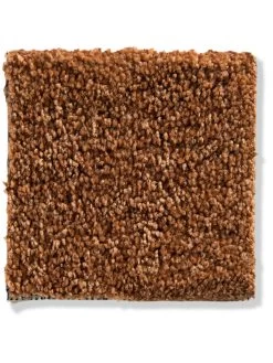 Velours-Teppichboden, Terra -Teppichwelt Verkauf Praia VeloursTeppichboden Terra Terra31 10x10 lup