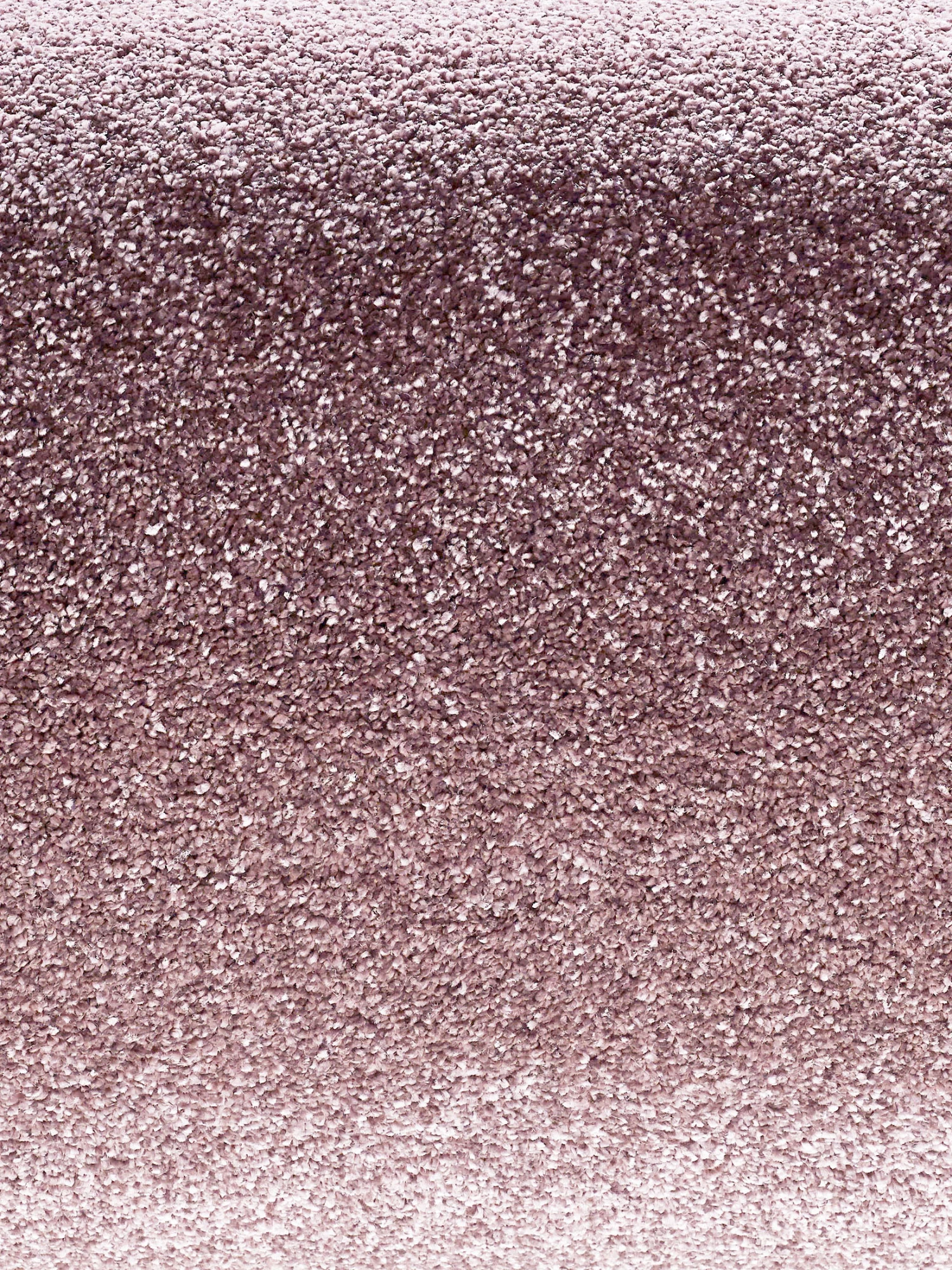Hochflor-Teppich, Mauve 5 Hochflor-Teppich, Mauve – Bild 3