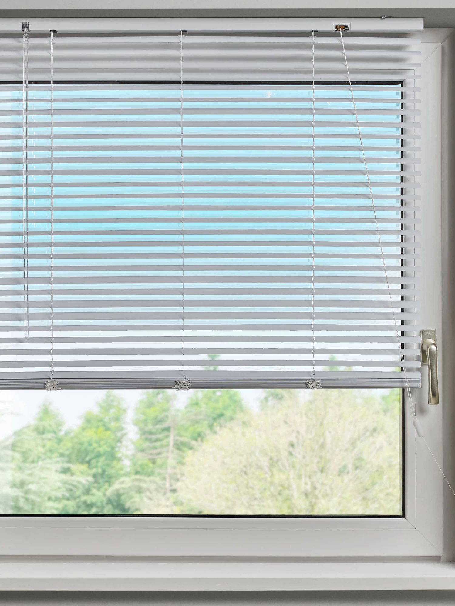 Jalousie, Weiss 4 Jalousie, Weiss – Bild 2