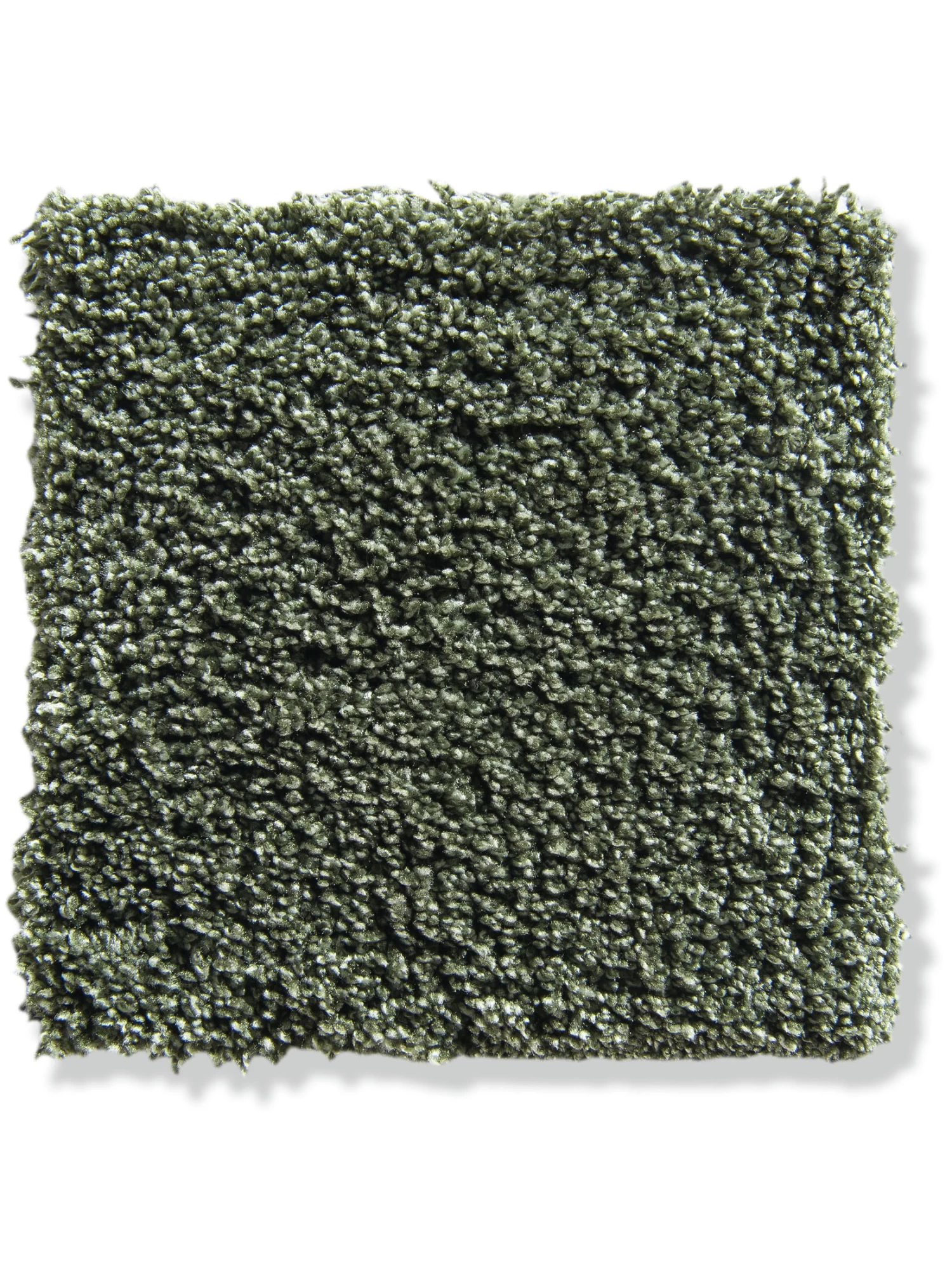 Velours-Teppichboden, Olive 40 4 Velours-Teppichboden, Olive 40 – Bild 2