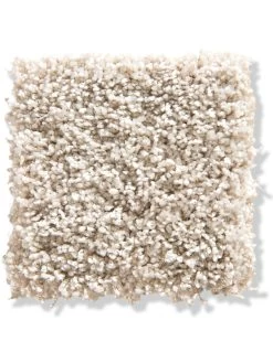 Langflor-Teppichboden, Creme 60 -Teppichwelt Verkauf Trepito LangflorTeppichboden Creme Creme60 10x10 lup